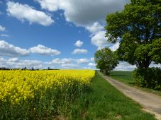 Wanderwege 