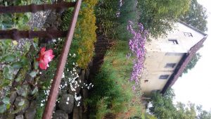 (20170927_153423.jpg)