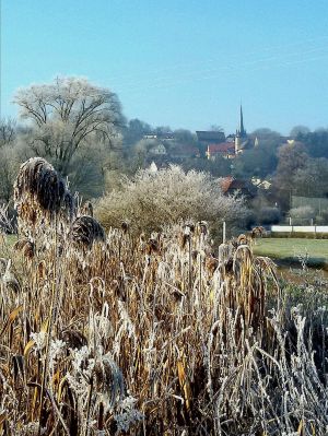  (schottenstein_winter_1.jpg)